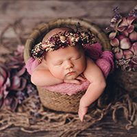 Newborn and Baby Photographer Arina Ageev #15